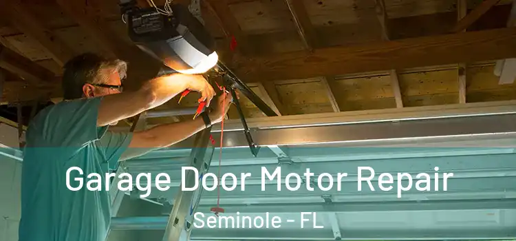  Garage Door Motor Repair Seminole - FL