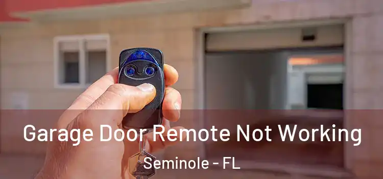  Garage Door Remote Not Working Seminole - FL