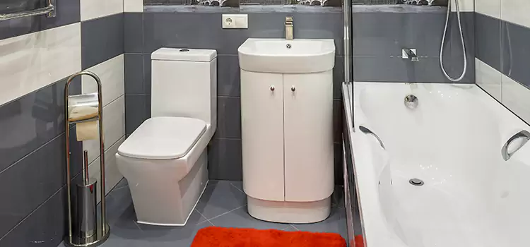 Hansgrohe Shaving Mirror Seminole