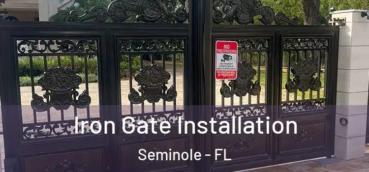 Iron Gate Installation Seminole - FL