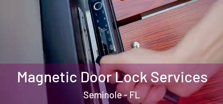 Magnetic Door Lock Services Seminole - FL